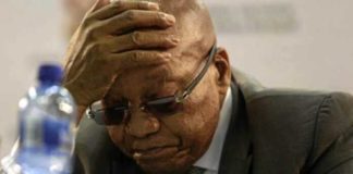 Condamné à 15 mois de prison ferme, l’ex-président sud-africain Jacob Zuma se constitue prisonnier