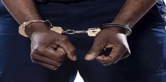 Meurtre de Lobé Ndiaye : l’assassin et ses deux complices arrêtés par les gendarmes