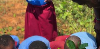Cameroun tout vert : L’association « For Greening » en guerre contre les îlots de chaleur urbains