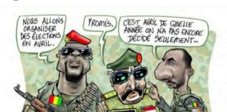 Courageuse interview de la député burkinabé Germaine Pitroipa, contre les putschistes de son pays
