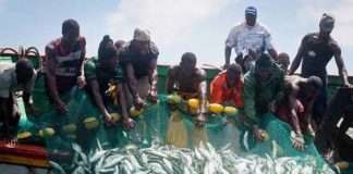L’intersyndicale des travailleurs des pêches en grève