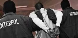 Trafic de migrants et blanchiment de capitaux : le Sénégalais Amadou Thiam arrêté par Interpol au Brésil