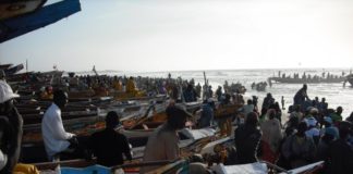 Vagues dans la pêche : les acteurs s’organisent à Cayar