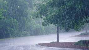 Avant le coup d’envoi Sénégal-Burkina Faso: Cameroun en pleine pluie