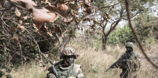 Casamance : l’armée accule les bases de l’indépendantiste Salif Sadio et perd un soldat
