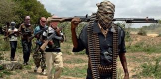 Nord Cameroun : le Sénégalais kidnappé par « Boko Haram » est libéré