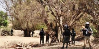 Tensions avec la Mauritanie : la junte malienne interdit aux civils la circulation dans les forêts de Wagadou et Gringalé