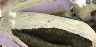 Ziguinchor: une dizaine de sacs de drogue saisie sur les bases du Mfdc