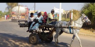 Canicule extrême : Kaolack frôle… l’enfer