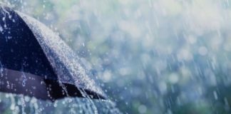 Nawét: Ziguinchor enregistre sa première pluie