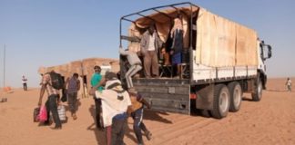 Déportés d’Algérie : des migrants sénégalais dans le désert nigérien