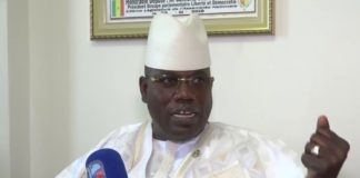 Tabas-quitus: Cheikh Abdou Bara Dolly, libre