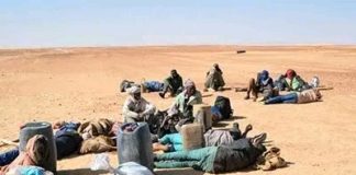5 Sénégalais largués dans le désert algérien, en danger de mort