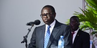 14e Législature: Pape Diop dans les prairies marrons