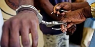 Dans « le Témoin » : Cité Fadia, le Tadjabone criminel des malfrats