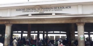 Ça sent la poiscaille au marché de Kaolack: les mareyeurs en ont marre, et décrètent une grève de 72h