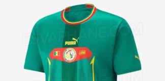 Nouveau équipement des Lions par Puma: Les internautes sabotent les maillots