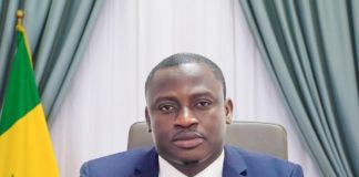 Déclarée persona non grata à Kaolack: Mimi Touré, défendue par Ousmane Noël Dieng