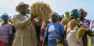 Prochaine campagne agricole: des opérateurs privés réclament, d’abord, leur dû à l’Etat