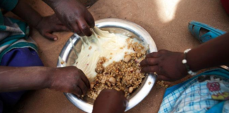 INSECURITE ALIMENTAIRE AU SENEGAL: le taux de mortalité monte à 45% en 2022