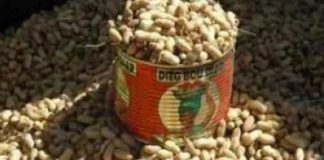 CHERTÉ DU PRIX DE L’ARACHIDE: Le Président de l’Organisation des Paysans du Sénégal, en fin de tournée nationale, donne les raisons.