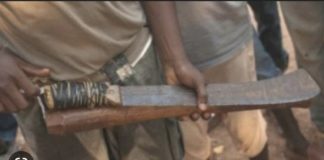 DRAME À MBOUR- Un berger agresse un cultivateur avec un coupe-coupe