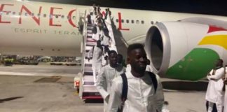 TANIERE NEWS: Les Lions rentrent aujourd’hui, à 16 h 30