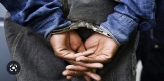 SOCIÉTÉ : Le fils d’un célèbre chroniqueur impliqué dans le meurtre d’une Franco-Sénégalaise à Somone