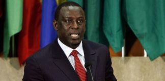 CELEBRATION DES 10 ANS DE L’IPS : Cheikh Tidiane Gadio indique le chemin du développement