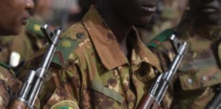 AFRICA TIMES : Trois soldats tués au Mali dans des affrontements entre l’armée et les jihadistes