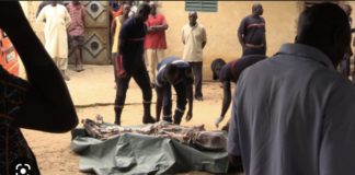SOCIÉTÉ : Un talibé de 14 ans poignardé à mort par son camarade