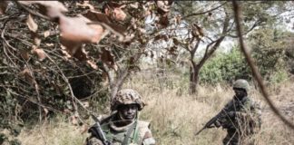 REBELLION EN CASAMANCE : Un soldat sénégalais abattu