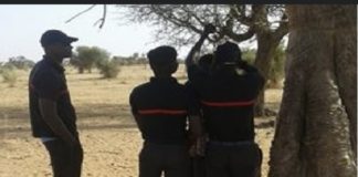 SOCIÉTÉ : Trompé par sa femme, un homme se suicide à Saly
