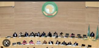 PROPOS RACISTES DU PRÉSIDENT TUNISIEN : L’Union Africaine hausse enfin le ton