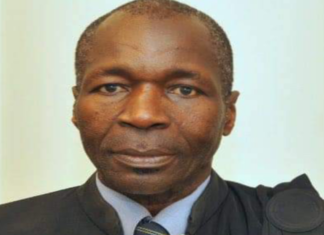 JUSTICE: Me Ousseynou Fall, avocat de Sonko, suspendu par le bureau de l’ordre des avocats du Sénégal