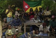 REBELLION EN CASAMANCE : La faction MFDC de Diakaye enterre la hache de guerre