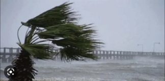 MÉTÉO : L’ANACIM annonce un vent fort sur toute la côte sénégalaise jusqu’au mercredi
