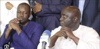 SORTIE DE SONKO SUR WALF TV : Le leader du Pastef dément « ndamal cadior »
