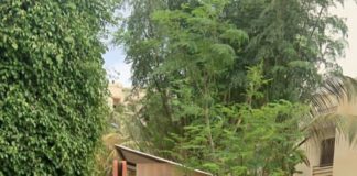 Les leaders de Yewwi empêchés de se rapprocher de chez Sonko à coups de gaz lacrymogènes