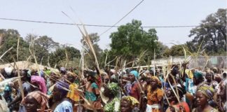 MANIFESTATIONS À DAKAR : Les 15 femmes du bois sacré recouvrent la liberté