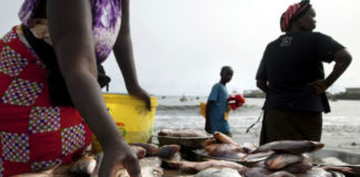 Série ‘Elles se lèvent à 5h du matin’ : Yali, Camerounaise, 42 ans, pêcheuse (Par Clarisse Magnekou)