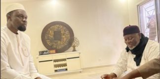 POLITIQUE : Aliou Tine plaide la participation de Sonko à la présidentielle de 2024