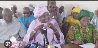 INTERVENTION MILITAIRE AU NIGER : Les conseils de Mimi Touré à la CEDEAO