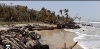 OUSSOUYE : L’avancée de la mer menace d’emporter Diémbéring