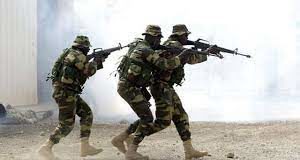 Intervention de l’armée du Niger : Le Sénégal se prépare à la guerre