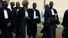 Situation sanitaire de Sonko : Ses Les avocats devant l’ONU ce vendredi