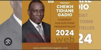 PRÉSIDENTIELLE 2024 : Cheikh Tidiane Gadio déclare sa candidature