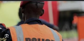 MBOUR : Un policier à la retraite arrêté devant son ancien commissariat avec du chanvre indien