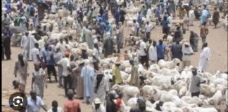 FOIRAIL DE DAHRA : Un éleveur et un rabatteur perdent la vie