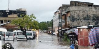 PLUIES DILUVIENNES À ZIGUINCHOR : Plusieurs quartiers sous les eaux